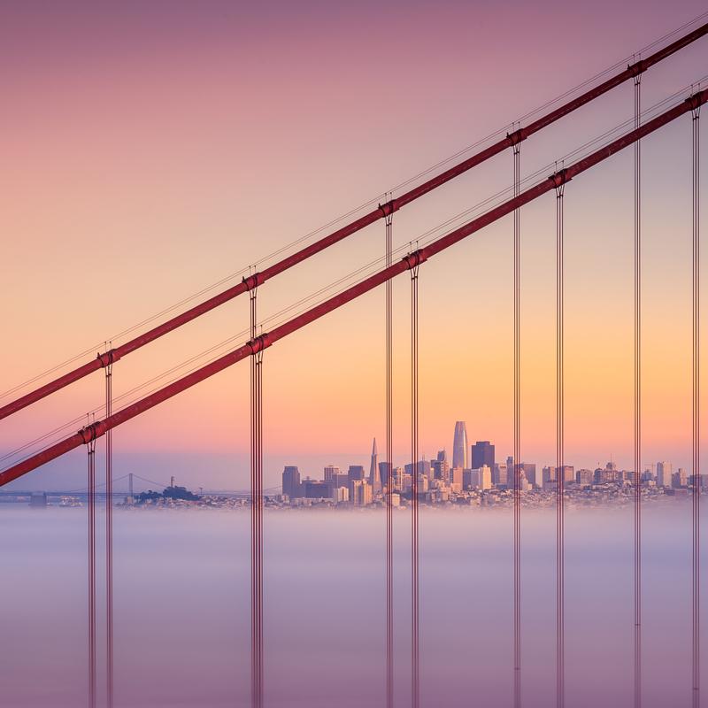 The City