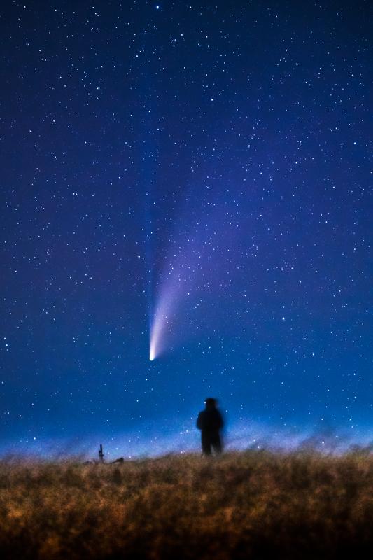 Neowise Flyby